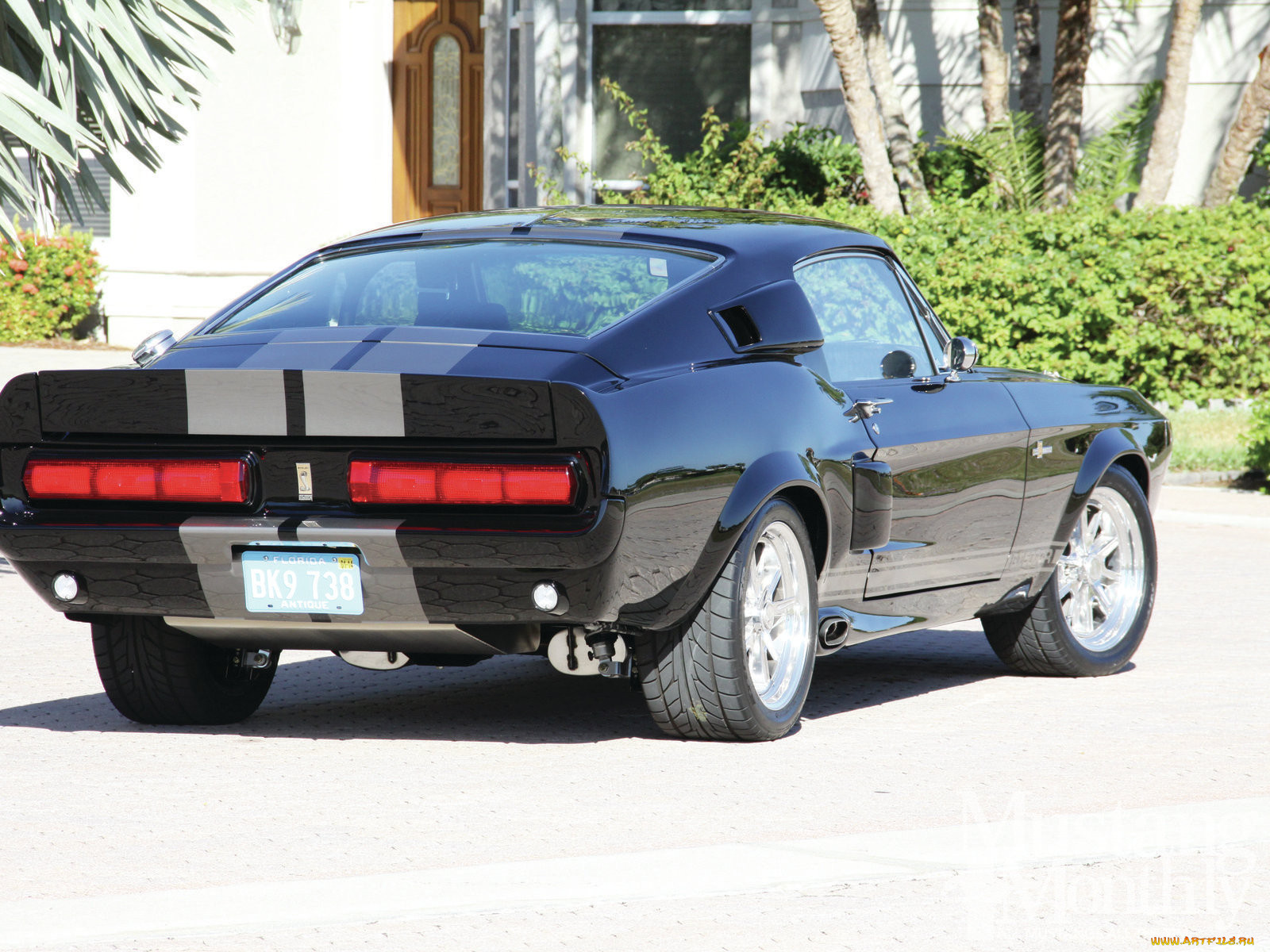 , mustang, custom